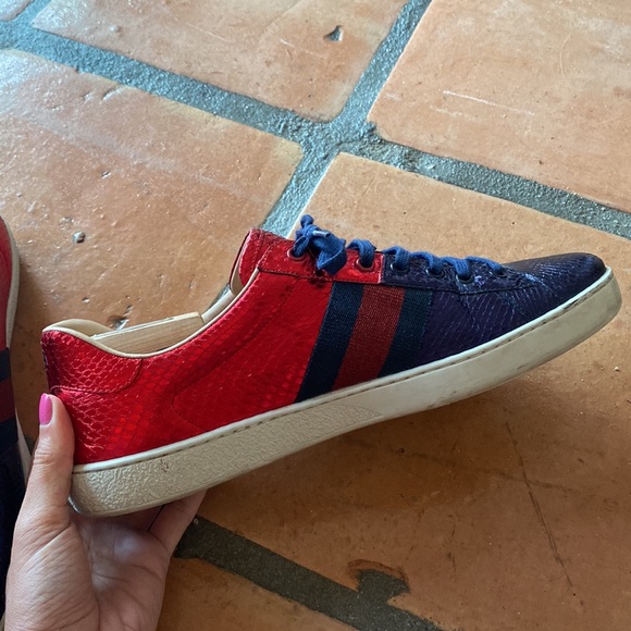 GUCCI "Ace" red blue metallic snakeskin sneakers in a low top style. Size 11. - Picture 10 of 13